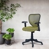 Odrione Low Back Ergonomic Chair in Pearl Green Colour
