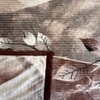 Nova Multicolor Abstract Wool Single Bed Blanket 350 Gsm