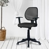 Jaazza Low Back Ergonomic Chair in Black Colour