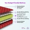 Soft Bounce Premium Orthopedic Direct From Factory
 (75 x 36 in, 4 Inches)