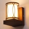 Eliante Wooden Wall Lights Wood & Glass Material Dark Brown & Champaign Finish