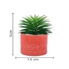 Highly Attractive Faux Plant With A Designer Ceramic Pot