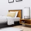 Hexa Engineered Wood Modern Single Bed With Headboard Without Storage In Slate Grey And Giant Wood