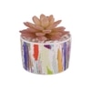 Sucullent Artificial Plant With Vertical Multicolored Stripes Along With Pot