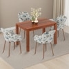 Atlas Solid Wood 4 Seater Dining Table With 4 Rochelle Lounge Chairs (Finish : Honey, Chair Colour : Adrian Velvet)