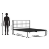 Sheen Metal Non Storage King Bed in Satin Black Finish