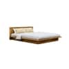 Hexa Engineered Wood Modern King Bed With Headboard Without Storage In Giant Wood