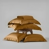 Stoa Paris Super King Size Bedsheet with 4 Pillow Covers  Size Eternal Glow