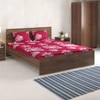 Sophia Bedsheets- Single