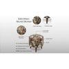 Willow Solid Wood  Ottomon in  Multicolor Colour