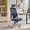 Butterfly High Back Ergonomic Mesh Office Chair in Grey Colour
