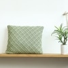 Shannon Mint Cotton Cushion Cover 16X16  Inches