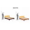 Davis Solid Wood Queen Size Non Storage Bed In Walnut Finish
