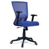 Ebeaony Mid Back Ergonomic Chair in Blue Colour