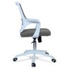 Xeanea Mid Back Ergonomic Chair in Grey Colour