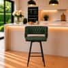 Doe Buck Presley Braided Faux Leather Bar Stool in Green Colour