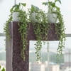 Wine C Planter Water Fountain
