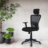Dreaceo High Back Ergonomic Chair in Black Colour