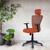 Dreaceo High Back Ergonomic Chair in Orange Colour
