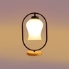 Devansh Milky Glass Wooden & Iron  Table Lamp -17 Inch Height  -Uyh