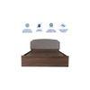 Pingala Bed With Premium Leatherette Fabric And Box Storage Queen Bed