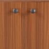 Footra Engineered Wood Shoe Rack in Walnut Finish