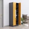 Hexa Red Wooden 2 Door Wardrobe with 4 Shelves in Slate Grey and Giant Wood Colour