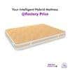 Super Contour ISP Tech. High Tensile King Size Mattress (78 x 78 in, 10 Inches)