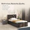 Amy Engineered Wood Single Size Box Storage Bed In Dark Wenge Finish