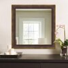 Decorative Mirror and Bathroom Mirror ELF3030MRREM0148