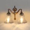 Devansh Metal Electric Wall Light in Antique gold Colour with Transparent Shade Count of 2 Lights