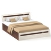 BLUEWUD Pollo Engineered Wood Queen Size Double Bed with Storage Box for Bedroom Home Furniture (Wenge & White)