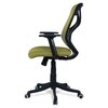 Zeeazyana Mid Back Ergonomic Chair in Pearl Green Colour