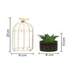 Aloe Vera Plant In Ceramic Pot With Attractive Bird Cage