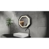 Aluminium LED Octagon Decorative wall mirror by elegant arts and frames (Mirror size 500 mm)