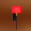 Devansh Metal Electric Wall Light in Black Colour with Red Shade Count of 1 Light
