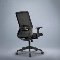 Veritas Mid Back Mesh Office Chair in Black Colour