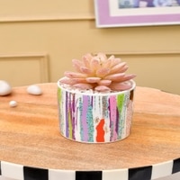 Sucullent Artificial Plant With Vertical Multicolored Stripes Along With Pot