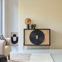 Ziggy Solid wood Cabinet with 2 Door in Black Finish