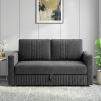 Alfon 2 Seater Velvet Pull Out Sofa Cum Bed with Storage In Dark Grey