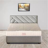 Spine FineOrthopedic Euro Top With Rebotech Technology 5 Inch King Size Bonded Foam Mattress (81X70 Inches) Premium Knitted Fabric, SoftRelax
