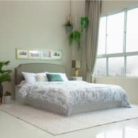 Pingala Engineered Wood Queen Size Bed In White Finish