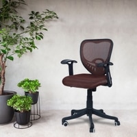 Odrione Low Back Ergonomic Chair in Brown Colour