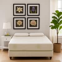 Repose Latexo Lite Bouncy Foam with Crush Latex Mattress (L x W: 75 inch x 48 inch, Thickness 6 Inches )