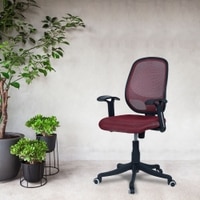 Goolda Low Back Ergonomic Chair in Maroon Colour