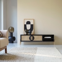Ziggy Solid Wood TV unit 2 Door in Black Finish