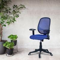 Goolda Low Back Ergonomic Chair in Blue Colour