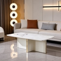 Elara Curve Center Table
