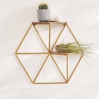 WOODENMOOD Hexa Wall Rack
