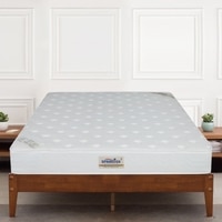 Ortho Premium Spring Pocket Mattress (78 x 72 in, 8 Inches)